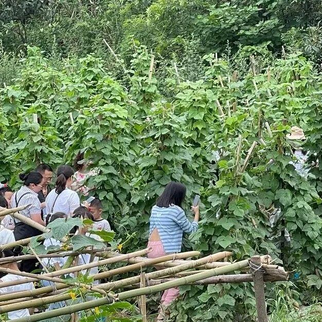 初秋country walk，是时候到仁寿村游啦