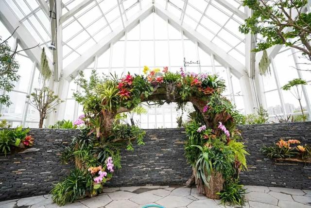 预计4月正式向公众开放！宁波新增一个打卡好去处