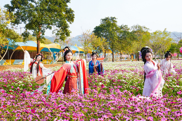 免费！8折！花都景点限定优惠，这场古风穿越局我先冲了→