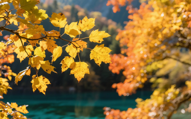 劝你别秋天去九寨沟，因为美得太“犯规”，会不想回来！