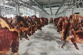 酒香也怕巷子深——玉树州治多县创新绿色有机牛羊冻肉销售路子图片