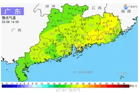 你被春雨叫醒了吗？降温又下雨，太阳再度“摸鱼”图片
