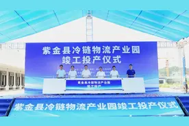 总投资1.24亿元！河源紫金冷链物流产业园竣工投产图片