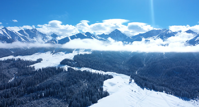 “大雪”无雪，能在雪地里撒野的大雪何时能看到？