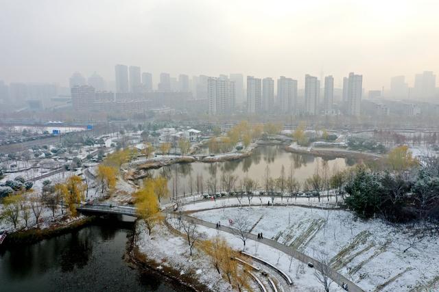 安徽涡阳雪后美景