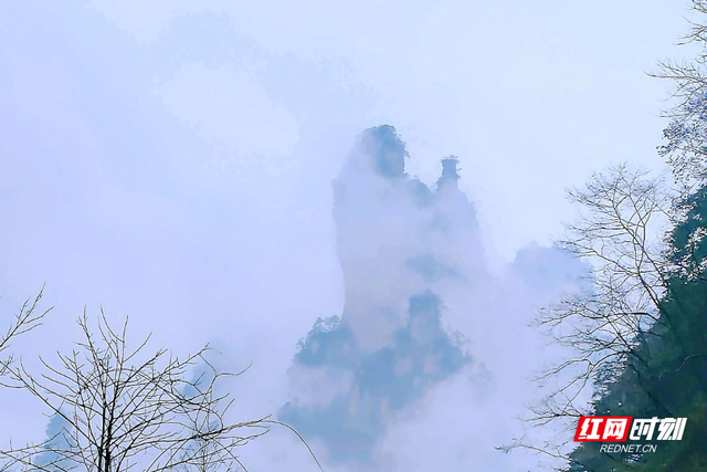 云雾漫峰林，张家界国家森林公园宛如水墨画卷