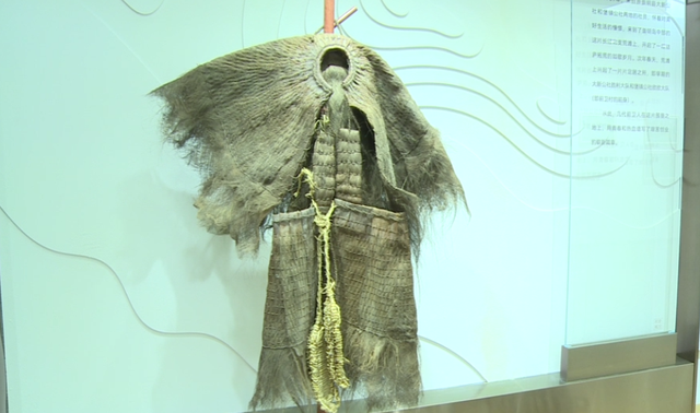 崇明前卫村村史馆建成对外开放