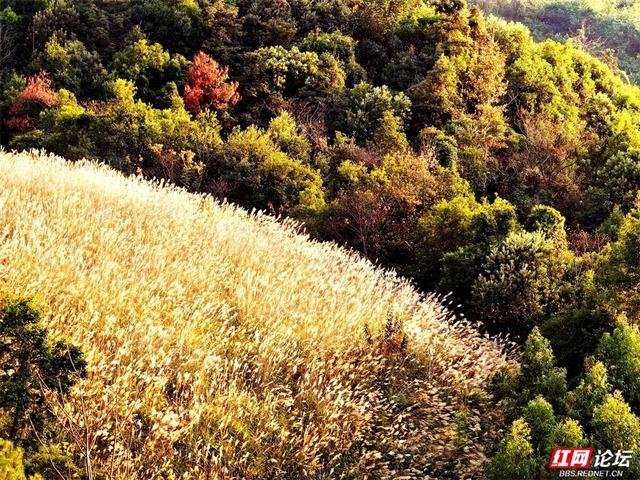 跟着网友游桂林丨山水不在画里，在灵川的黄昏里