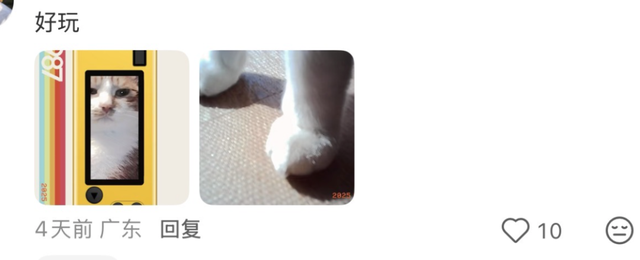 200块的塑料盲盒，怎么成了当下最火的“出片神器”