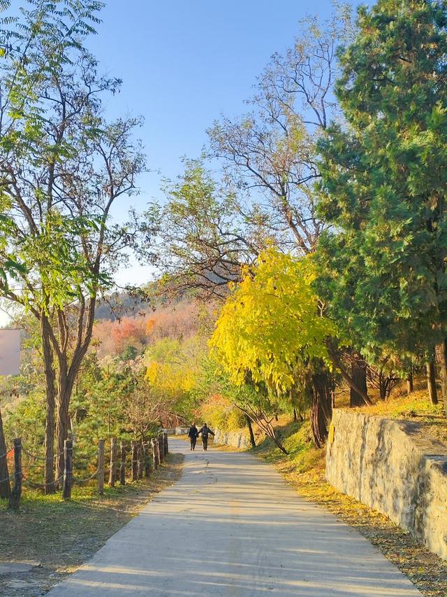 色彩缤纷，层林尽染，百望山秋景如画