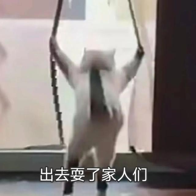 青白江出发，高铁旅行！时刻表+大假抢票攻略来啦~