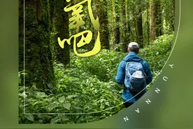 到云南来一场徒步游，走进“天然氧吧”图片