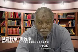 凯雷特维·奥普库：尼日尔供应了欧盟25%的铀，本国电力普及率却仅12%图片