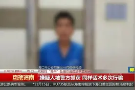 “花钱找‘黄牛’帮处理交通违法”最新进展：嫌疑人被警方抓获图片