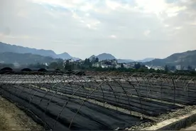 全年完成18.65万亩！铜仁推进高标准农田建设守好良田“耕”基图片
