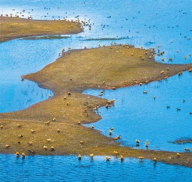 曲靖：光影流转 冬韵如诗
