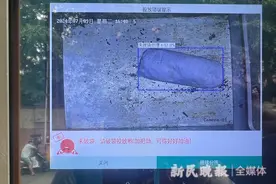 新思想引领新时代改革开放 | 大城新路 精准施策久久为功，申城养成垃圾分类好习惯图片