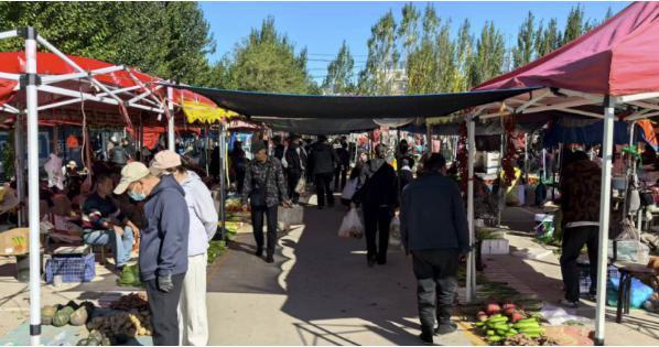 “城市更新 共创美好”｜白城拆围透绿惠民生：  360处围挡“变身”17处便民空间 释放城市活力