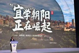 朝阳召开教育发展大会，晒出开放办教育成绩单图片