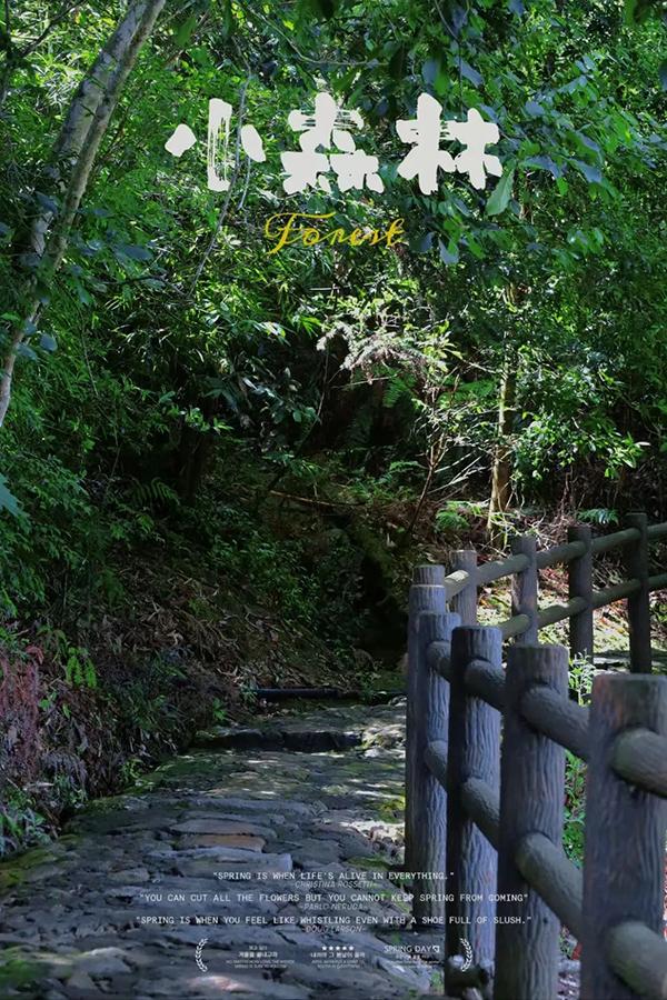 福州飞云峡景区的夏天，凉飕飕绿油油！