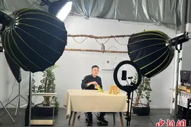 小鹦鹉成“致富鸟” 浙江庆元新乡贤带领家乡奔共富图片