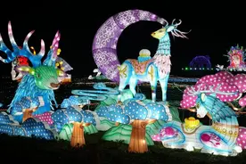 “花式”灯会即将点亮多彩贵州城新春年货节图片