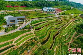 （乡村行·看振兴）从“美丽乡村”到“和美乡村” 重庆石盘村何以“点石成金”？图片