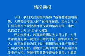 大巴雪天停无人区，游客遭强迫购物？成都通报：将依法严肃处理图片