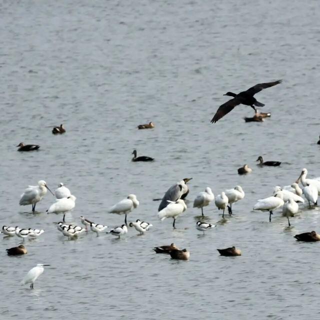 到了到了官方确认：已抵达杭州！