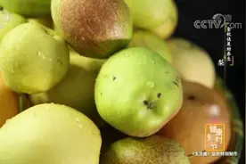 “一梨润三秋”！秋天吃梨有啥讲究？这3种吃法快收藏图片