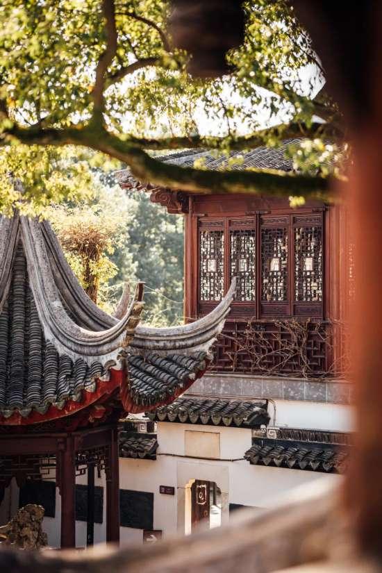 “果冻河”上线！朱家角6大景点“焕新升级”