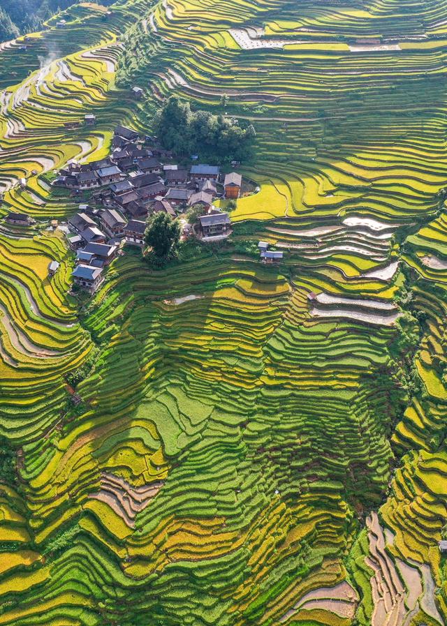 从江：加榜梯田“丰”景如画