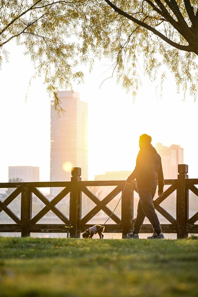 美丽中国丨塞上湖城秋意浓