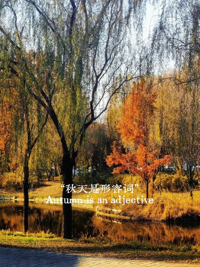 一键Get√氛围感！来这里，将海淀的秋收在镜头中——