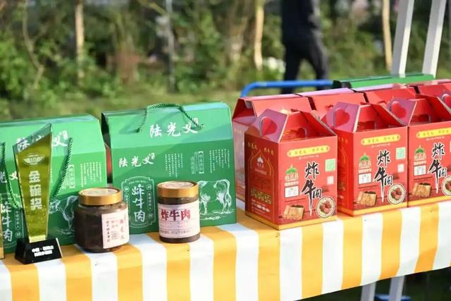 在离南京一小时车程的林海中，有人聚众“撒野”！