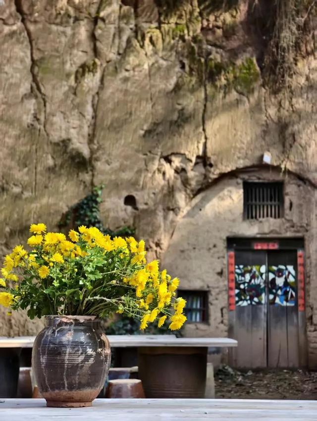 初冬高饱和度美景，还得看洛阳！