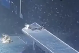 刘德华郭富城同日遭遇演唱会意外！前者曾称不再做高风险表演图片