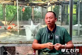 与鸟为伴20多年，他在长沙过得充实又快乐图片