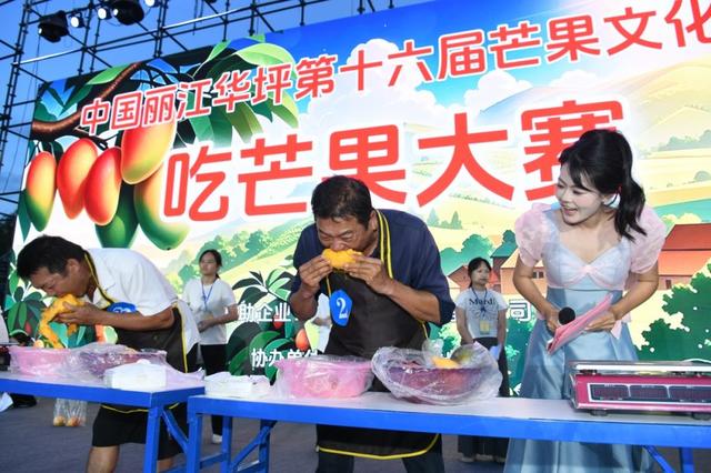 不到华坪来 不知芒果香
