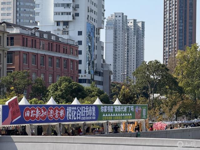 阳光正好，风很温柔，上海的秋天，阅读让人怦然心动
