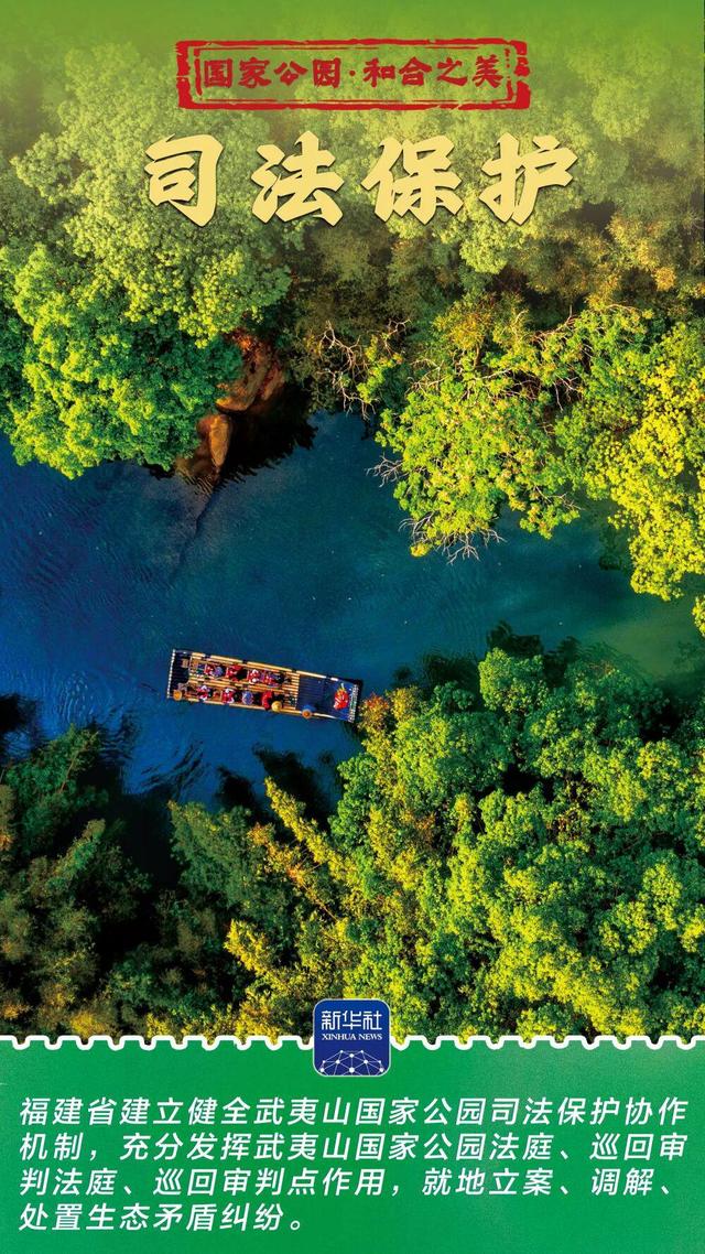 和合之美｜武夷山国家公园：“会呼吸”的诗意乐园