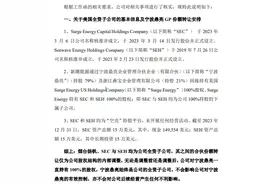 300亿元海外资产控制权生变？新潮能源紧急回应图片