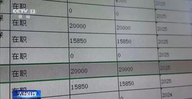仅有15名员工的企业却有13人集中生育，申领了总计超100万元的生育保险	，一起全链条造假骗取生育津贴的大案被揭开