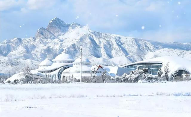 88天不重样，这个冬天活动计划已上线~能玩的能去的都在这里了