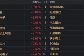 2900点收复！AI终于反弹了，但并不是今天的主角图片