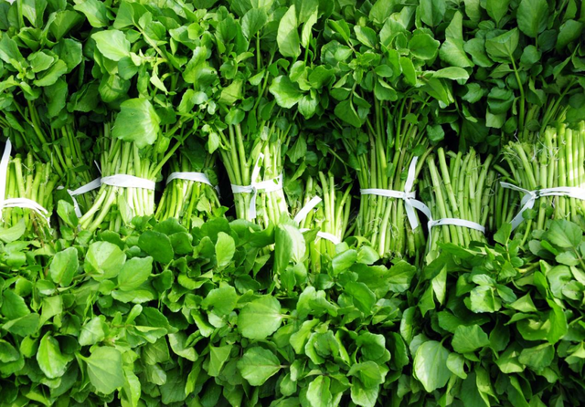 央视大片《珠江》里的花都⑤：山水滋养的田园至味