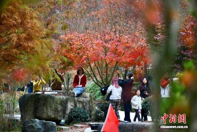 福建福州：乡村美丽冬景引游人