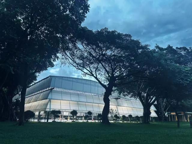 免费开放！持续21天！2025东湖公园菊花赏来啦~