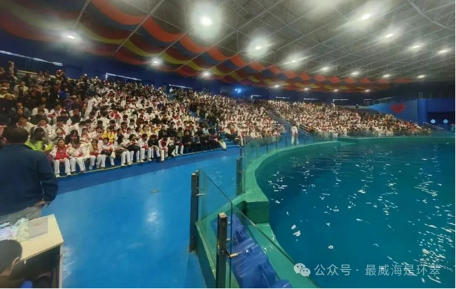 “研学天团”出道！山东省级试点+海洋线路揭晓，收好这份攻略！