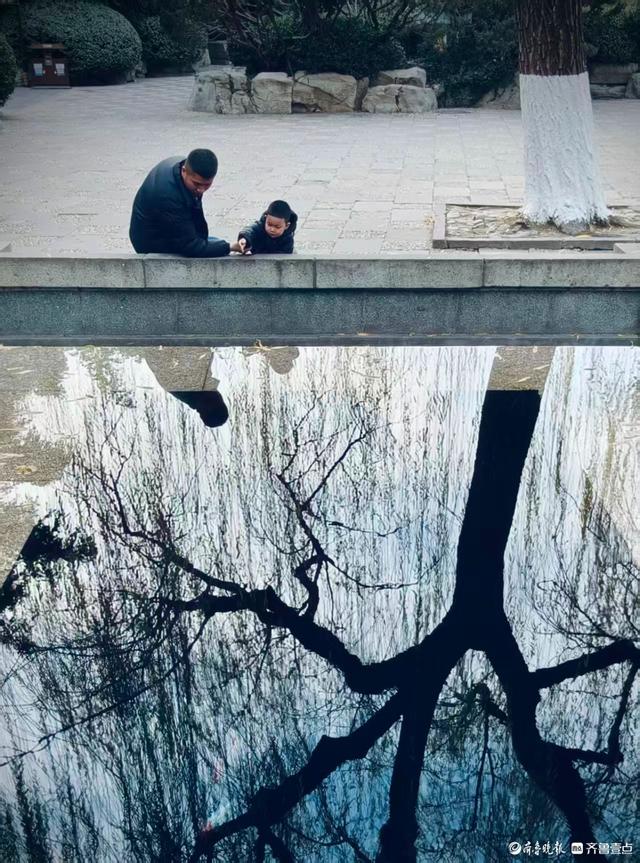 冬日趵突泉，寒风中美景依然